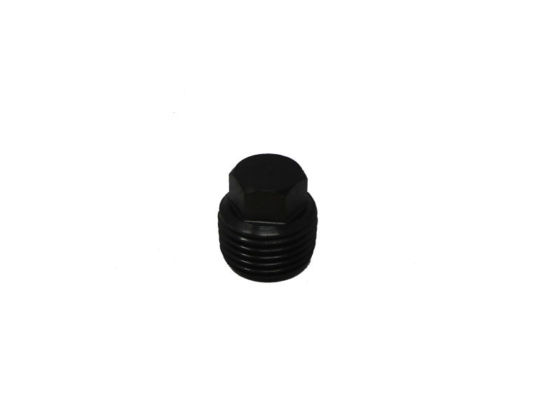 Throttle Valve Cap | 21A100700