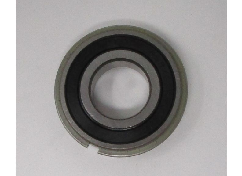 Ball Bearing | BB-6004VVNR