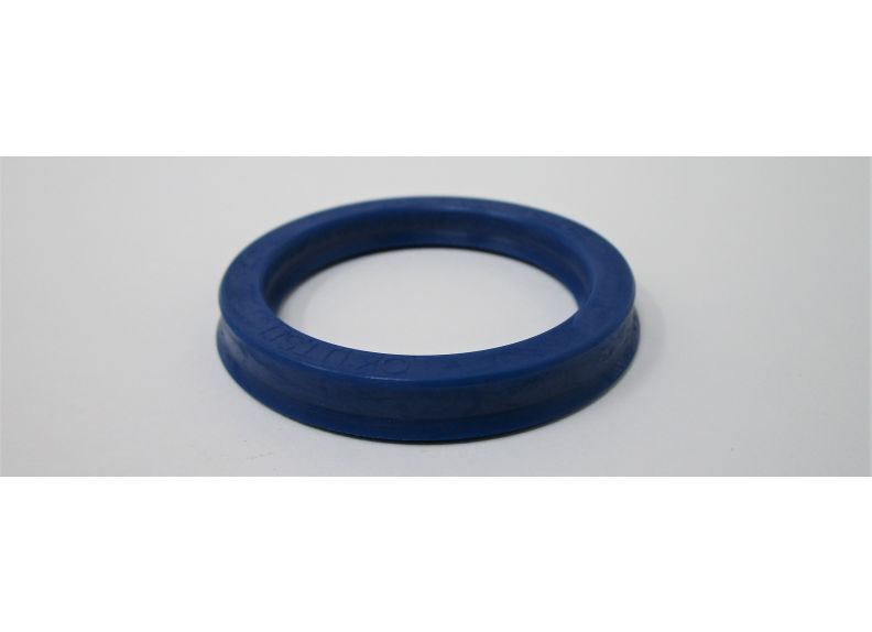Seal 45X6Mm | BRK10T-2-11