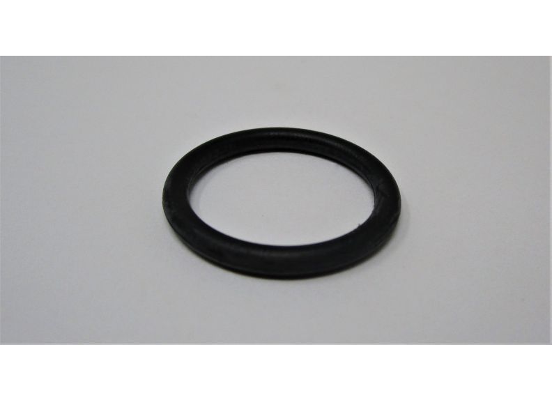O-Ring Dia. 21X2.4 | DSLT770H-35-5