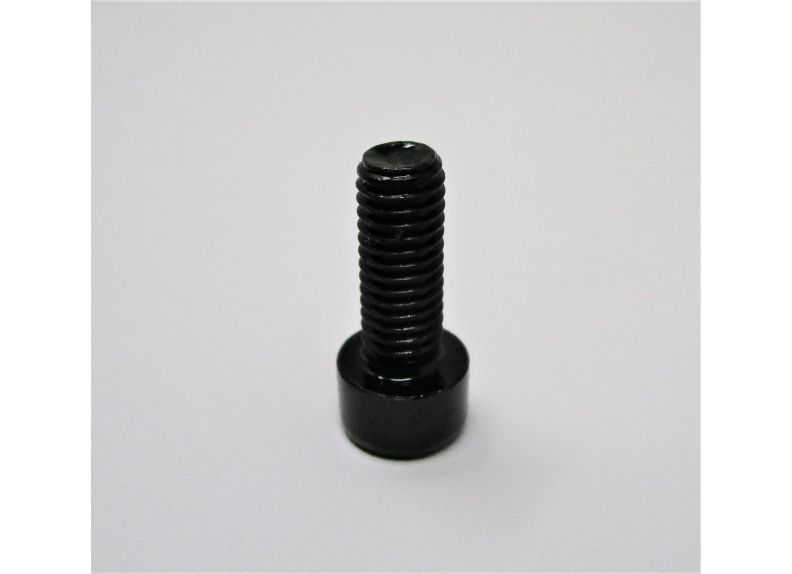 M6-1X20Mm Bo Shcs | F005383