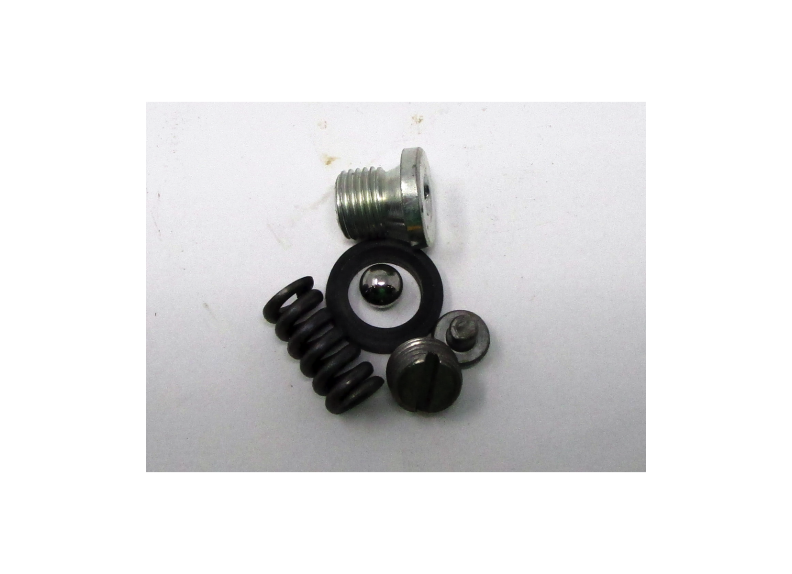 Relief Valve Assembly | PT2036-RV