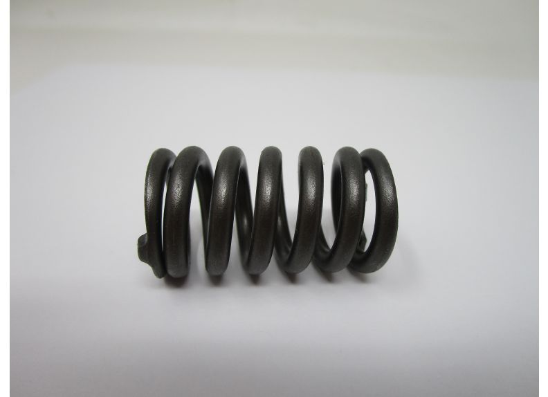 Steel Holder Spring | RD30-41