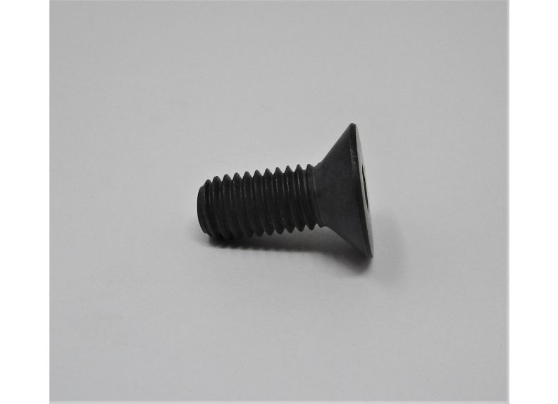 Countersunk Hd Screw M8 X 20 Jwss-10 | SM080400