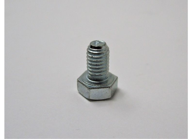 Hex Cap Screw M5X8 | TS-1481011