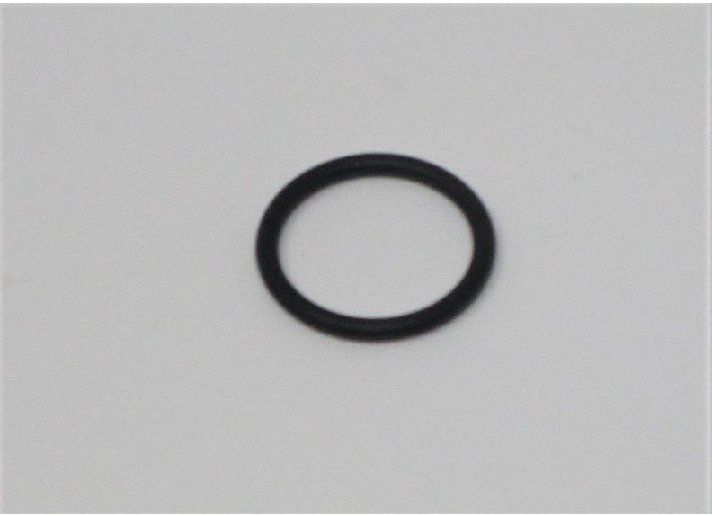 O-Ring | Z040P20