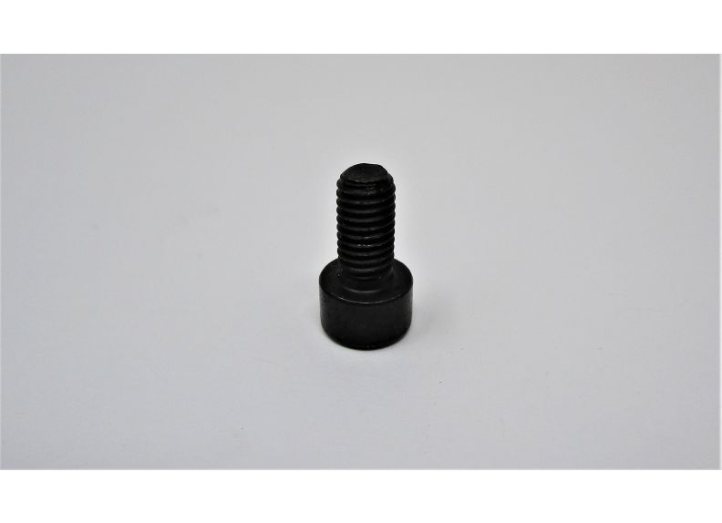 Hex Head Screw M5X10 | ZX-A169E