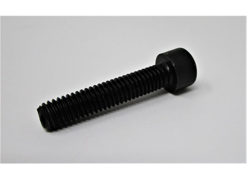 Cross Head Screw M6X30 Gh-Zx-Types | ZX-A95E