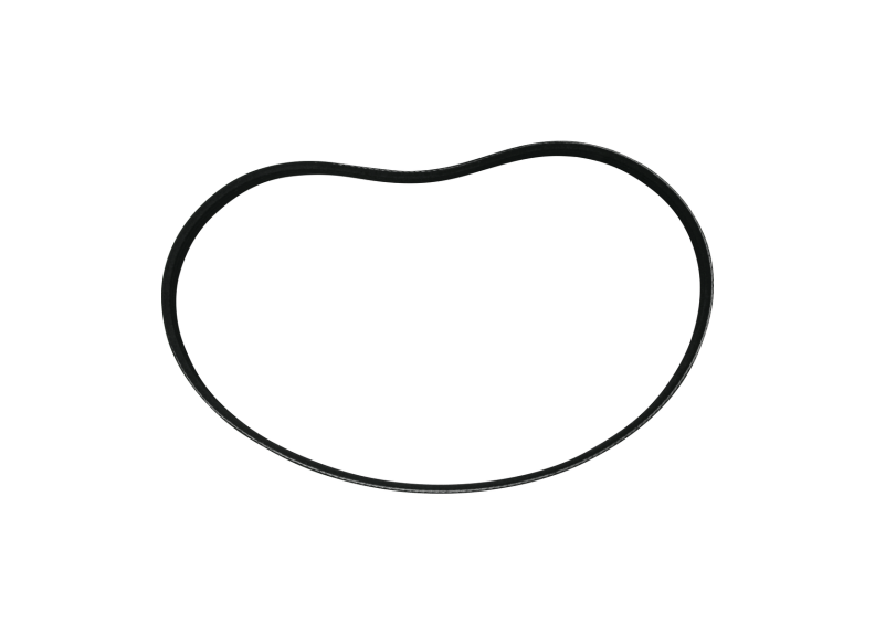 Belt | JDP17-036
