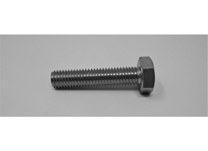Hex Cap Screw M10X45 | TS-2210451